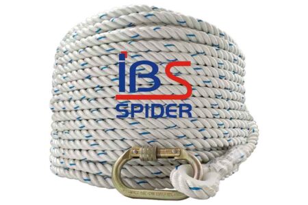 IBS:313N/Y